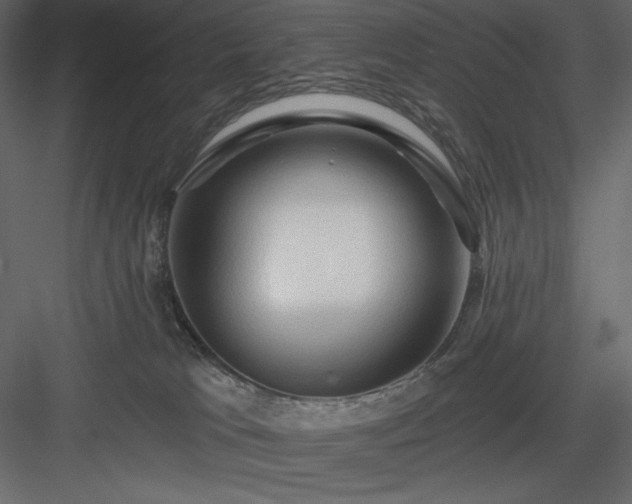 X0000083970037200702232030