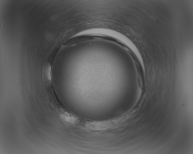 X0000083970041200702232029