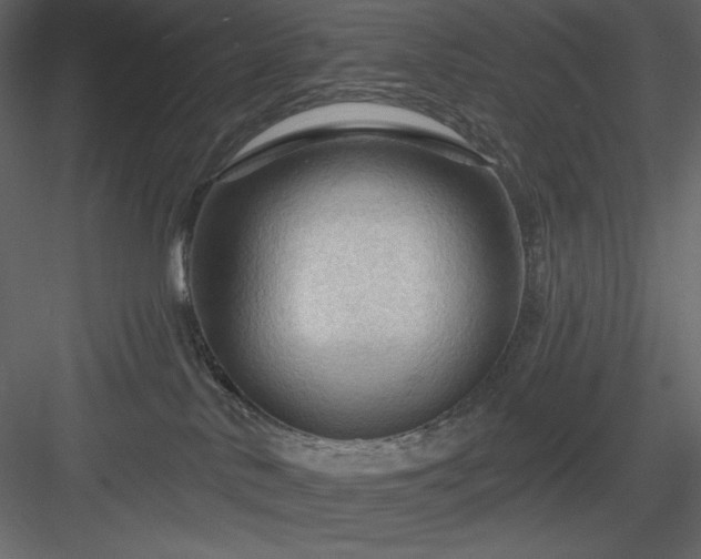 X0000083970042200702232029