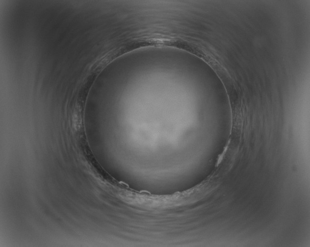 X0000083970043200702232029
