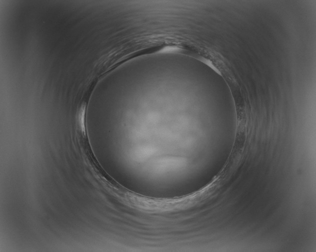 X0000083970047200702232029