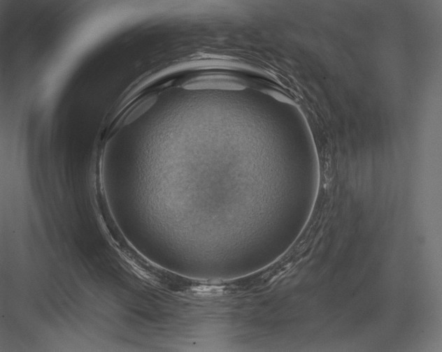 X0000083970052200702232029