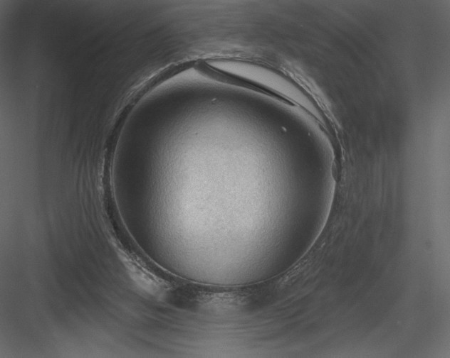 X0000083970058200702232029