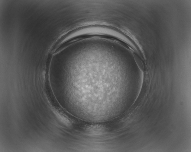 X0000083970063200702232029