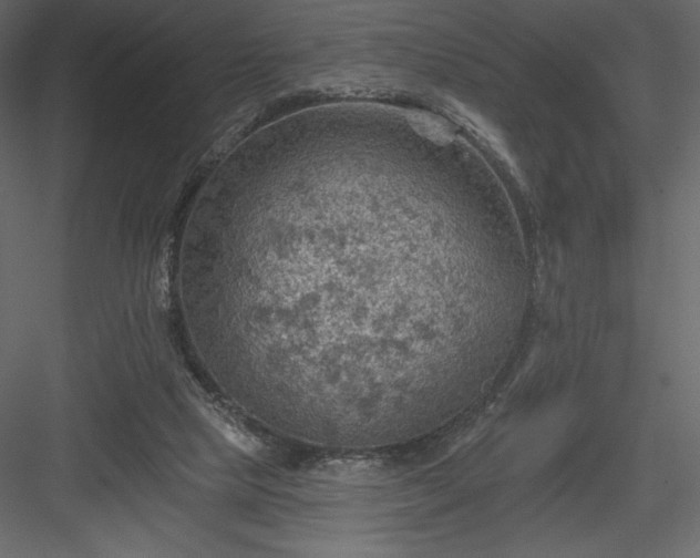 X0000083970065200702232029