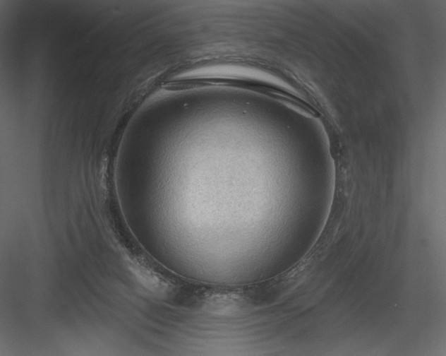 X0000083970066200702232029