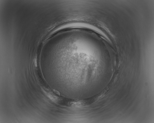 X0000083970068200702232029