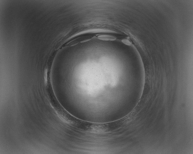 X0000083970070200702232029