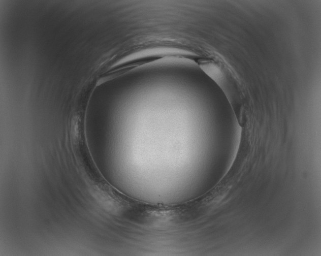X0000083970071200702232029