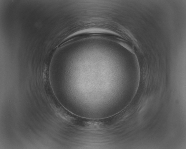 X0000083970073200702232029