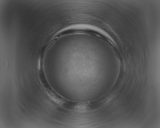 X0000083970076200702232029