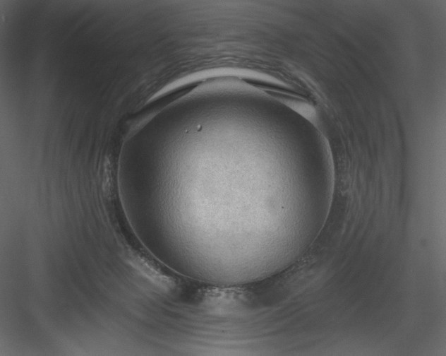 X0000083970077200702232029