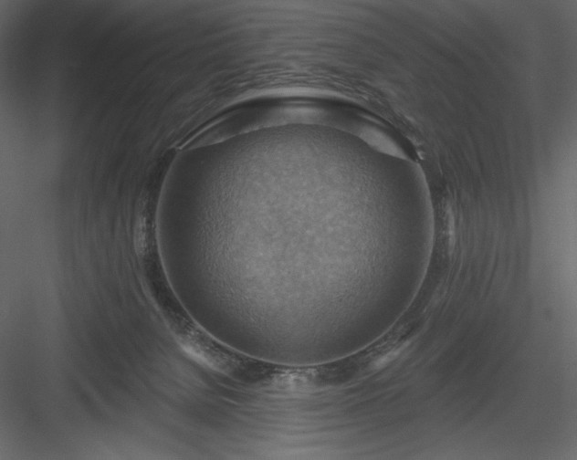 X0000083970080200702232029