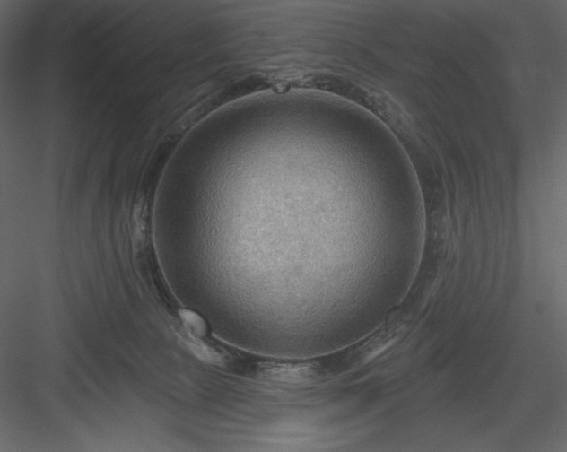 X0000083970081200702232029