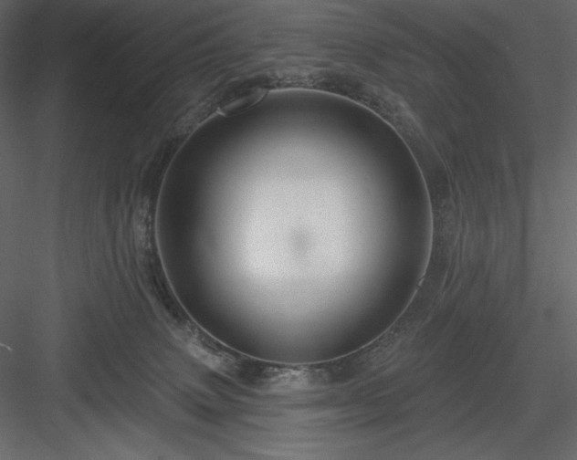 X0000083970083200702232029