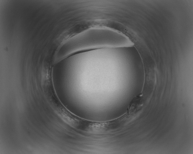 X0000083970084200702232029
