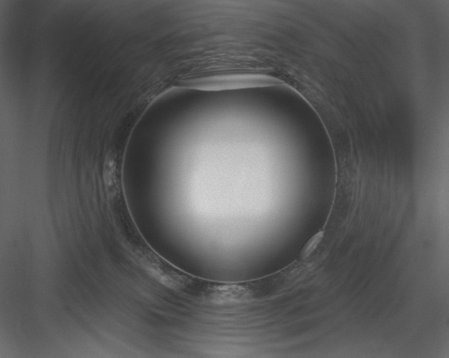 X0000083970087200702232029