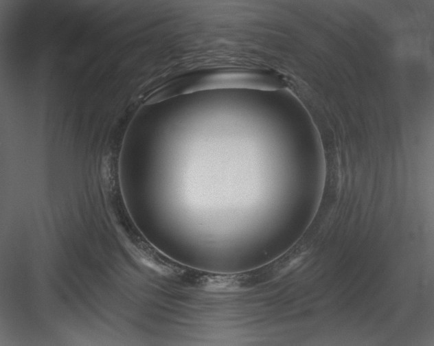 X0000083970088200702232029