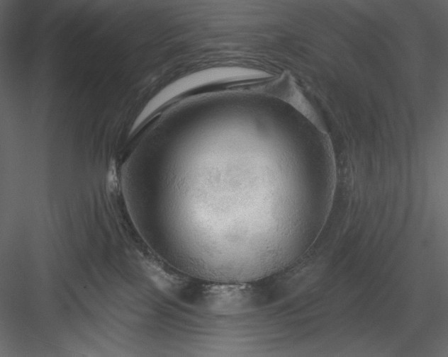 X0000083970089200702232029