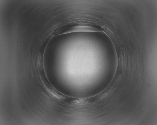 X0000083970092200702232029