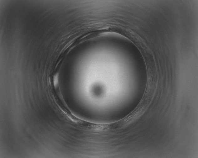 X0000083970096200702232029