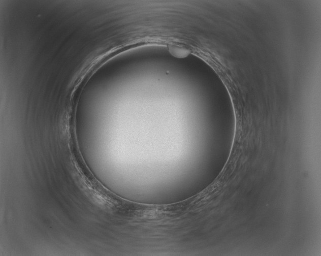 X0000083970098200702232028