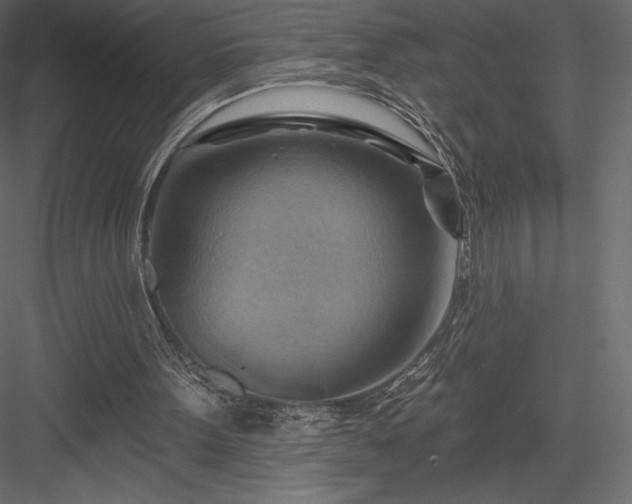 X0000083970099200702232028