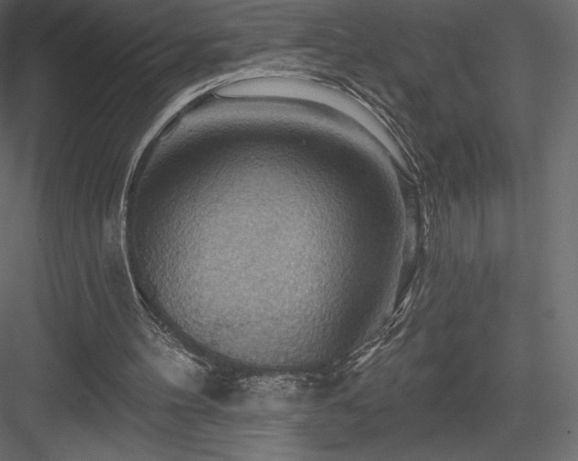 X0000083970100200702232028