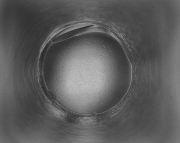 X0000083970102200702232028