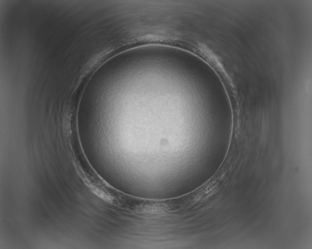 X0000083970106200702232028