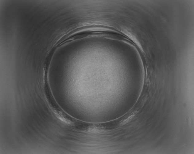 X0000083970109200702232028