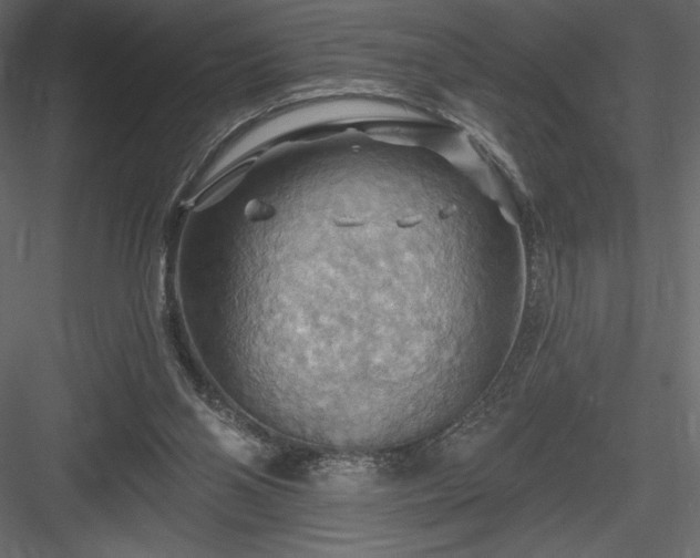 X0000083970110200702232028