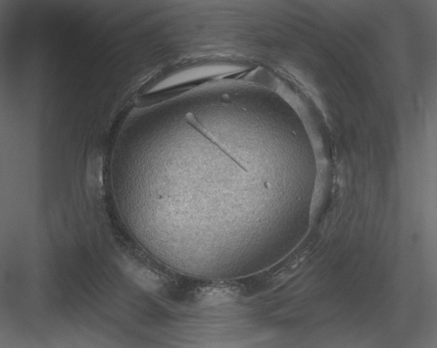 X0000083970115200702232028