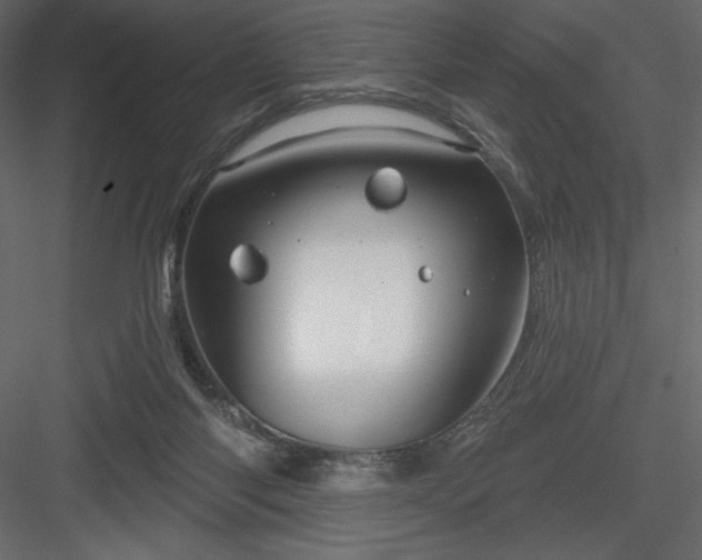 X0000083970118200702232028