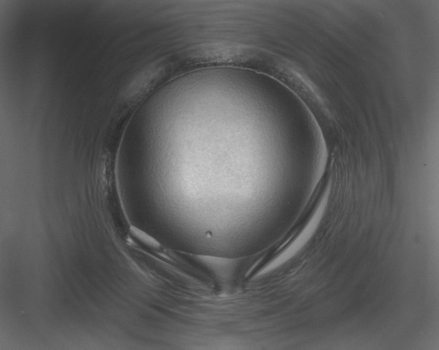 X0000083970119200702232028