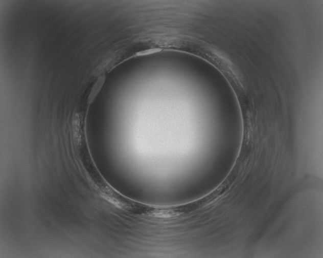 X0000083970121200702232028
