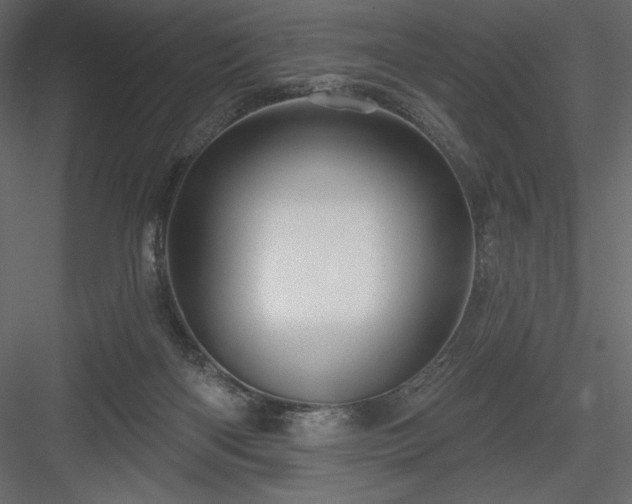 X0000083970122200702232028
