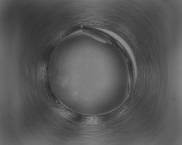 X0000083970127200702232028