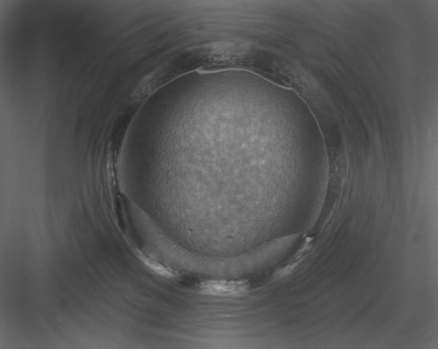 X0000083970137200702232028