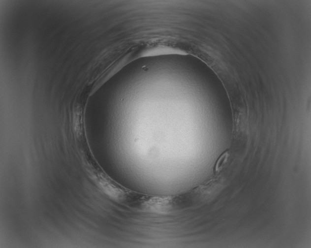 X0000083970138200702232028