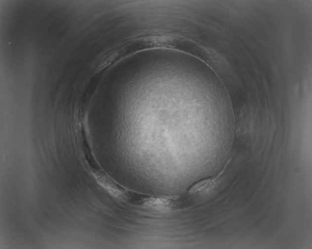 X0000083970140200702232028