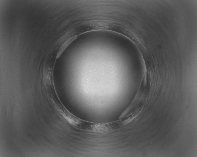 X0000083970141200702232028