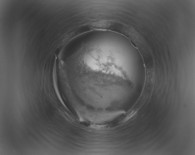X0000083970143200702232028