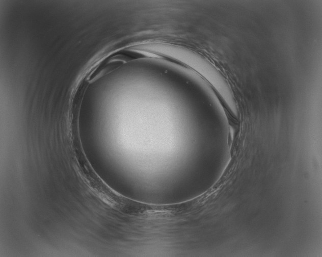 X0000083970150200702232027