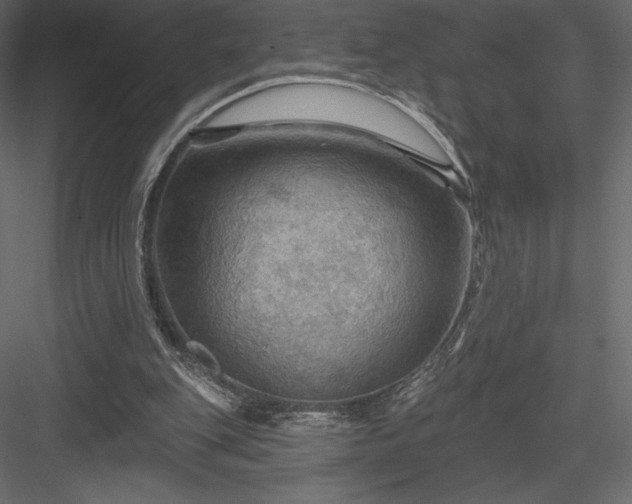 X0000083970151200702232027