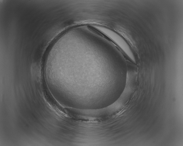 X0000083970156200702232027
