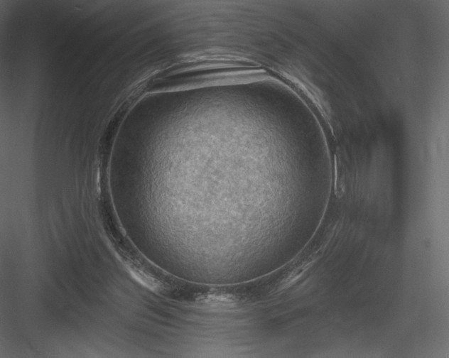 X0000083970157200702232027