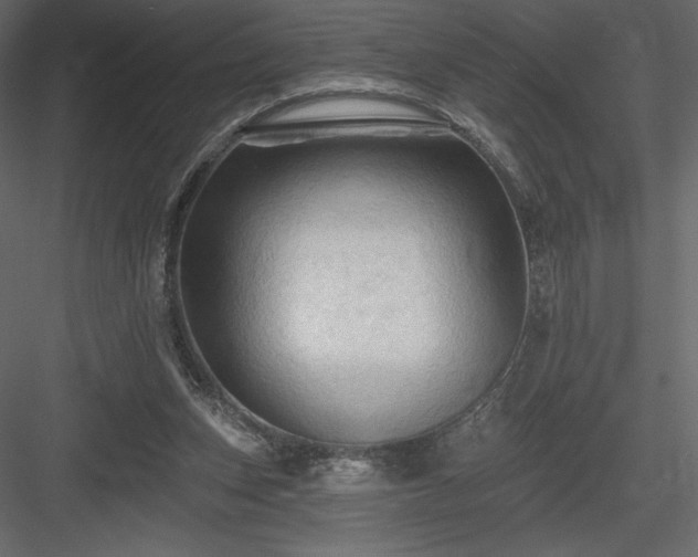 X0000083970159200702232027
