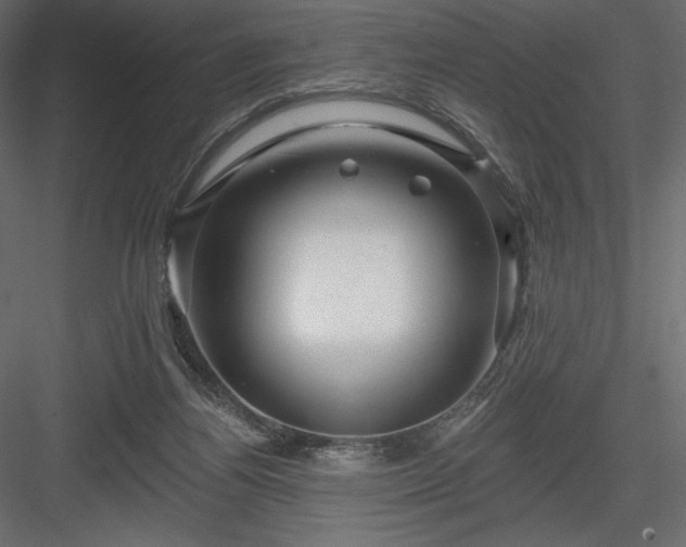 X0000083970164200702232027