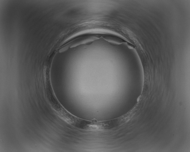 X0000083970167200702232027